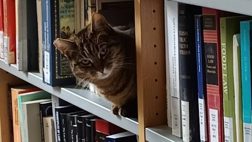 Law School Library Training Seminars 2025-2026